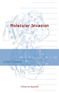 The Molecular Invasion The Molecular Invasion